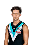 Aidyn Johnson profile picture